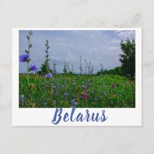 Landschaft Landschaft Landschaft Landschaft Feld B Postkarte