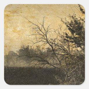 Landschaft Landschaft Rustikale Winterbäume Quadratischer Aufkleber