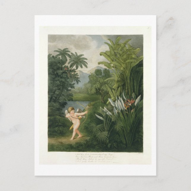 Landschaft mit Cupid, die einen Pfeil auf einen Pa Postkarte (Vorderseite)