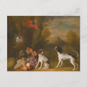 Landschaft mit exotischen Vögeln und zwei Hunden Postkarte