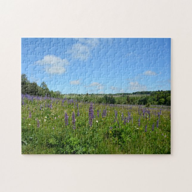 Landschaft mit Lupinen - (Horizontal)