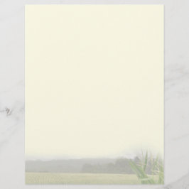 Landschaft mit Mais-Pflanze, ausgenommen