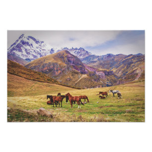 Landschaft mit Pferden in georgianischen Bergen Fotodruck