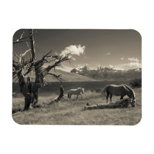 Landschaft mit Pferden Magnet