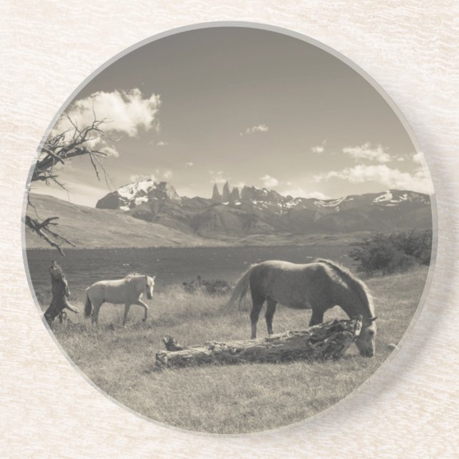 Landschaft mit Pferden Sandstein Untersetzer (Vorne)