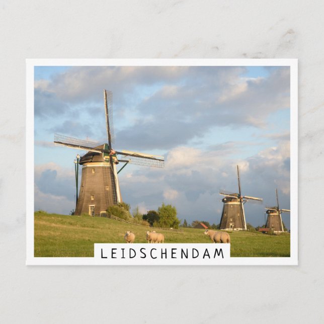 Landschaft mit Windmühlen und Schafen Postkarte (Vorderseite)