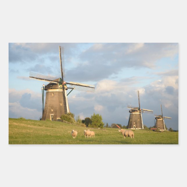 Landschaft mit Windmühlen und Schafen Rechteckiger Aufkleber (Vorderseite)