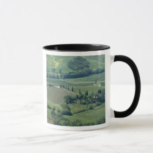 Landschaft nahe Montepulciano, Val d'Orcia, Tasse