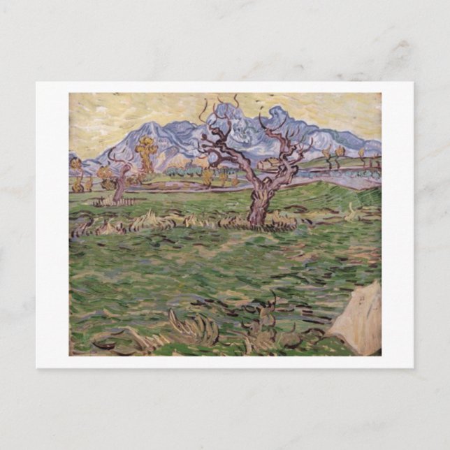 Landschaft Olive Tree Berge, Van Gogh Kunst Postkarte (Vorderseite)