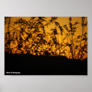 Landschaft Orange Sonnenuntergang Silhouette Poster