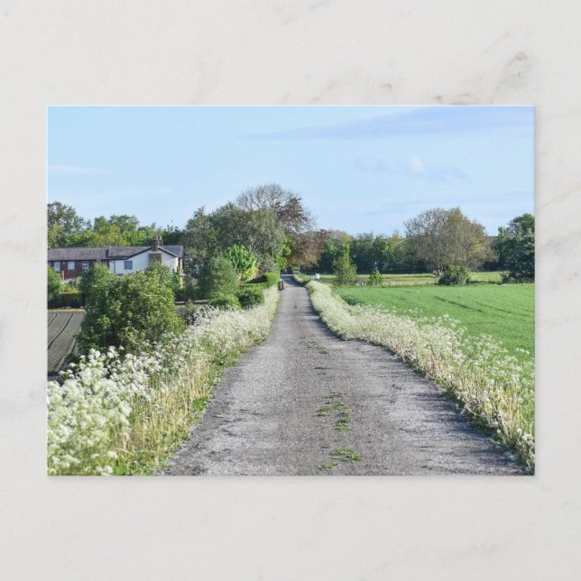 Landschaft Postkarte (Vorderseite)