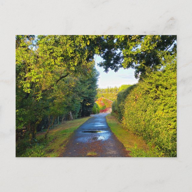 Landschaft Postkarte (Vorderseite)