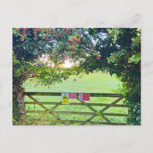 Landschaft Postkarte (Vorderseite)