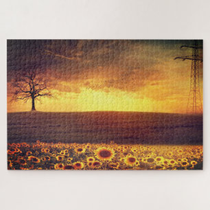 Landschaft - Sonnenuntergang - schön
