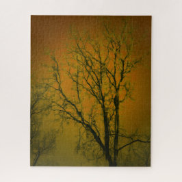 Landschaft Tree Glass Art Fotograf Orange Brown