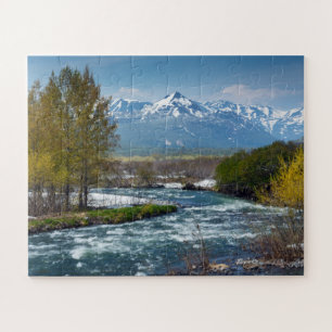 Landschaft von schroffem Fluss des Frühlinges