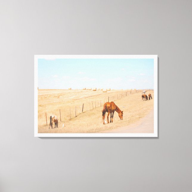 Landschaft Wilde Pferde Felder Leinwanddruck (Vorderseite)