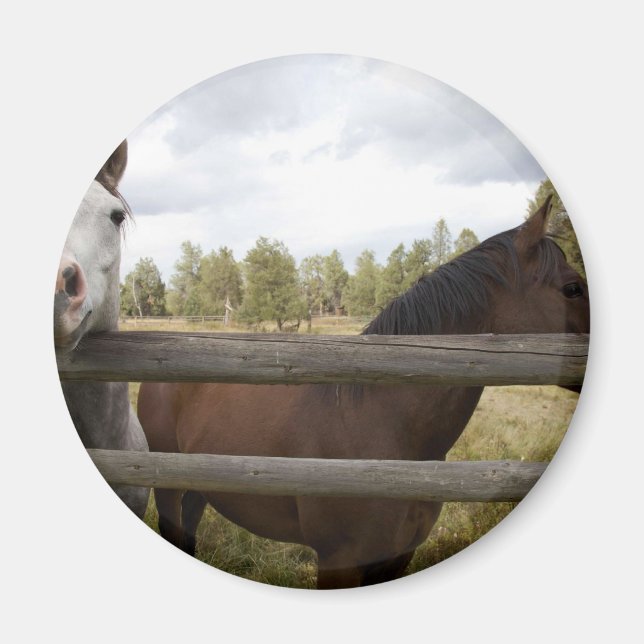 LANDSCHAFTEN MAGNET (Vorne)