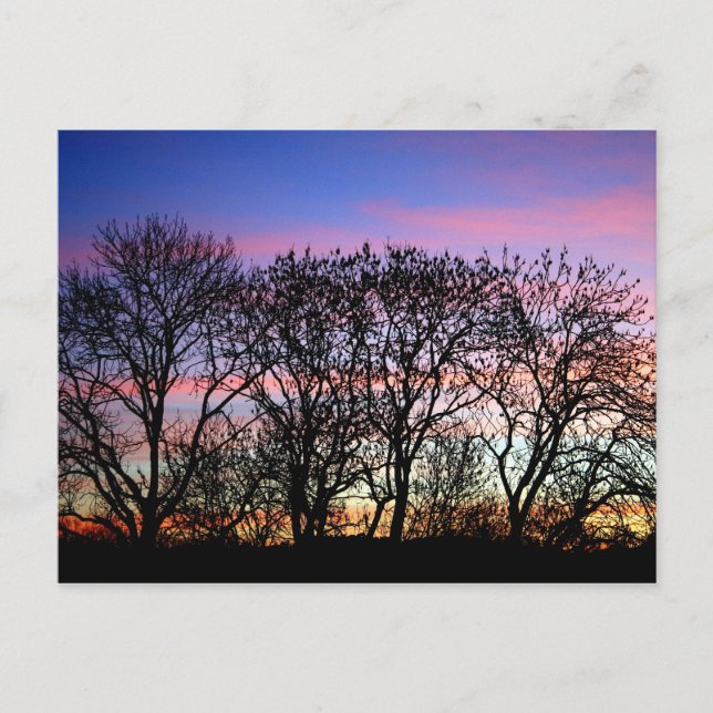 Landschaften Postkarte (Vorderseite)