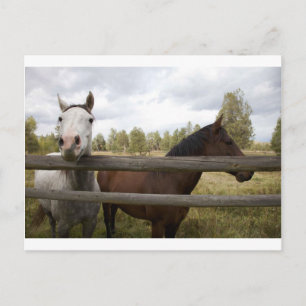 LANDSCHAFTEN POSTKARTE