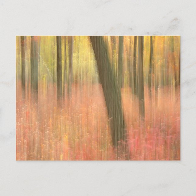 landschaftlich abstrakt postkarte (Vorderseite)
