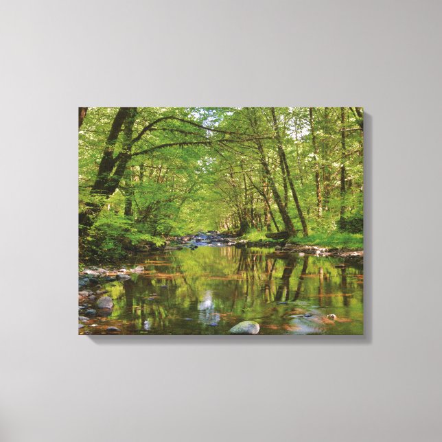 Landschaftlich vom Wilson River Leinwanddruck (Vorderseite)
