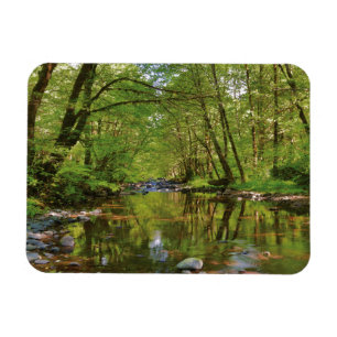 Landschaftlich vom Wilson River Magnet