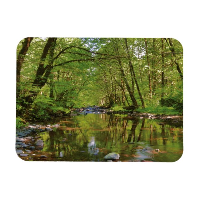 Landschaftlich vom Wilson River Magnet (Horizontal)