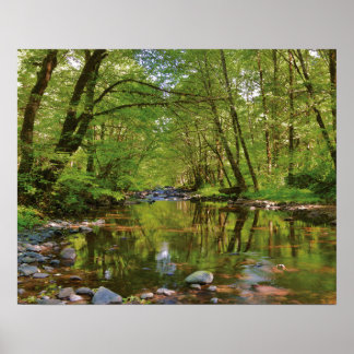 Landschaftlich vom Wilson River Poster
