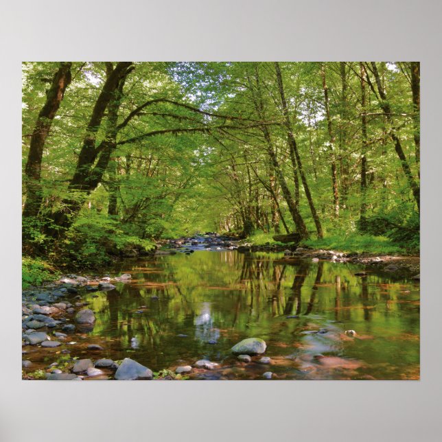 Landschaftlich vom Wilson River Poster (Vorne)