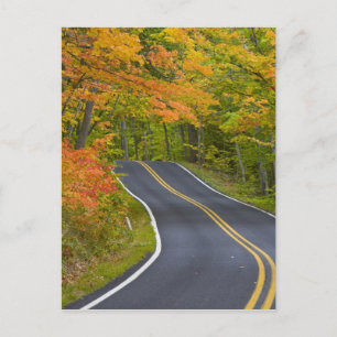 Landschaftliche Ahornbäume im Herbst Postkarte