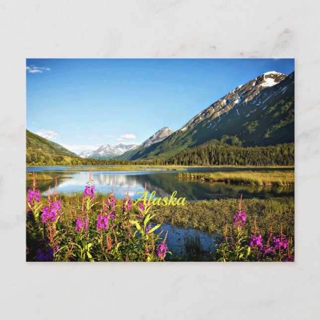 Landschaftliche Alaska, gekennzeichnet Postkarte (Vorderseite)