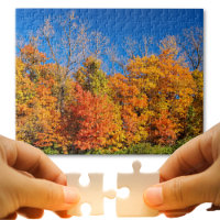 Landschaftliche Fallbäume und Blaues Himmel Foto