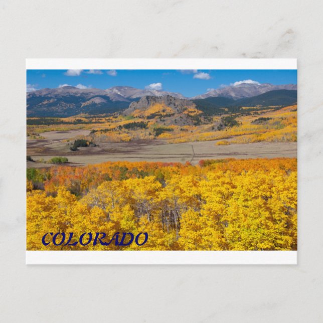 Landschaftliche Foliage Colorado Postkarte (Vorderseite)