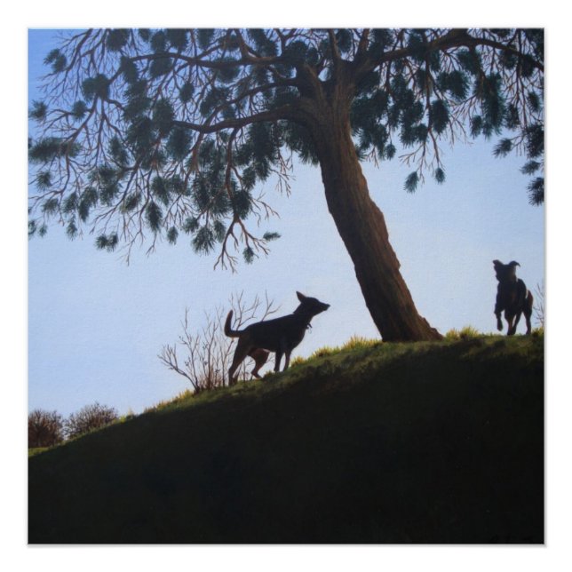 landschaftliche Hunde in Vollfarbe Poster (Vorderseite)