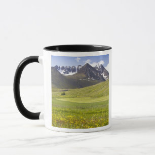 Landschaftliche Landschaft im Svarfadardalur-Tal Tasse