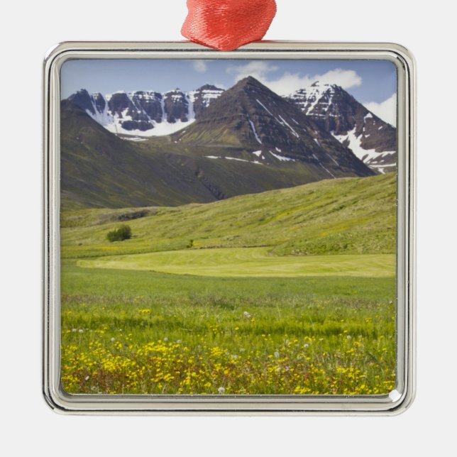 Landschaftliche Landschaft im Tal von Svarfadardal Silbernes Ornament (Vorne)