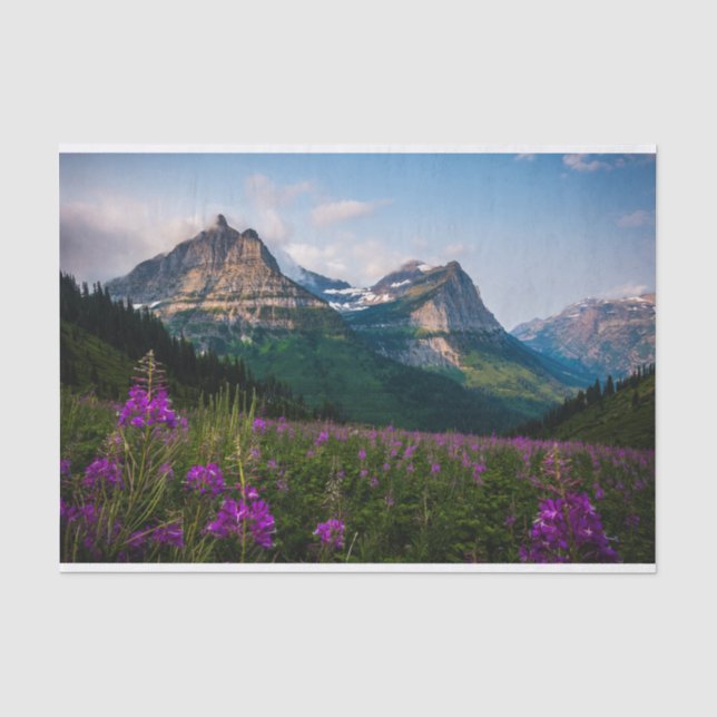 Landschaftliche Lupine Wiese Majestät Seidenpapier (Vorderseite)