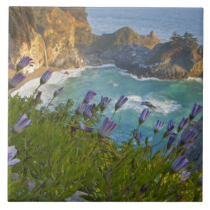 Landschaftliche McWay Falls stürzt in den Strand u Fliese