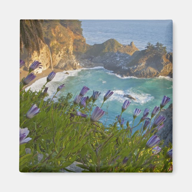 Landschaftliche McWay Falls stürzt in den Strand u Magnet (Vorne)