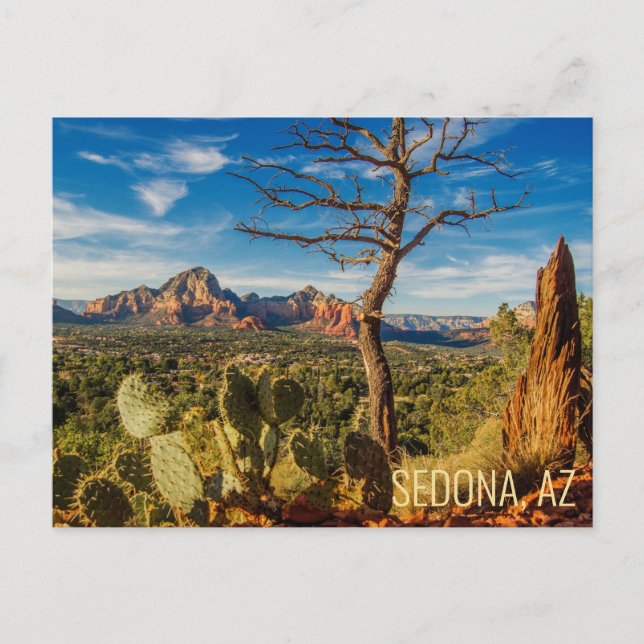 Landschaftliche Sedona Arizona Wüste Postkarte mit (Vorderseite)