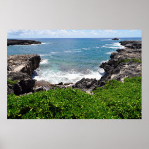 Landschaftliche Sicht auf das Hawaiianische Küsten Poster
