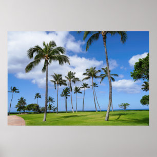 Landschaftliche Sicht auf das Plakat der Kokospalm