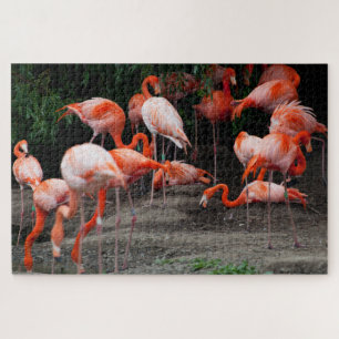 Landschaftliche tropische Landschaft Flamingo Jigs