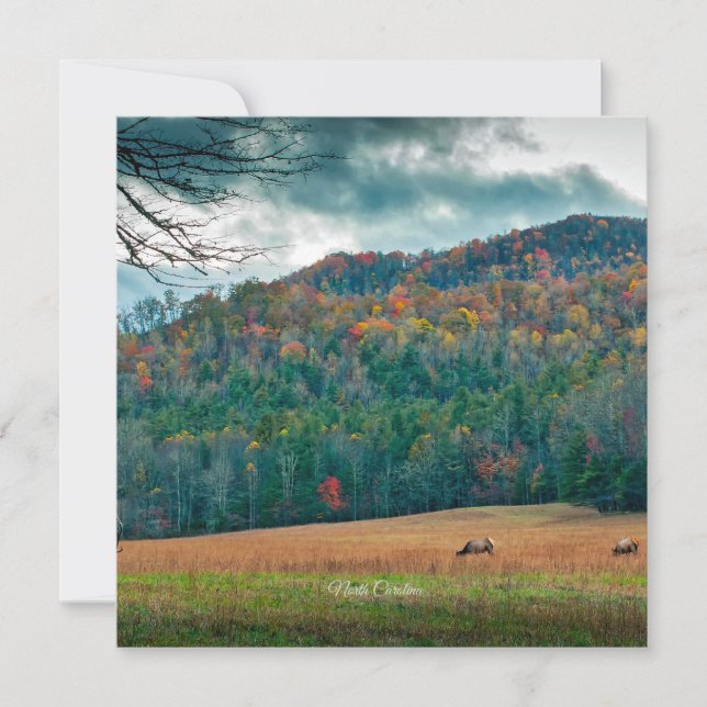 Landschaftliche Wiese North Carolina (mit einer Au Karte (Vorderseite)