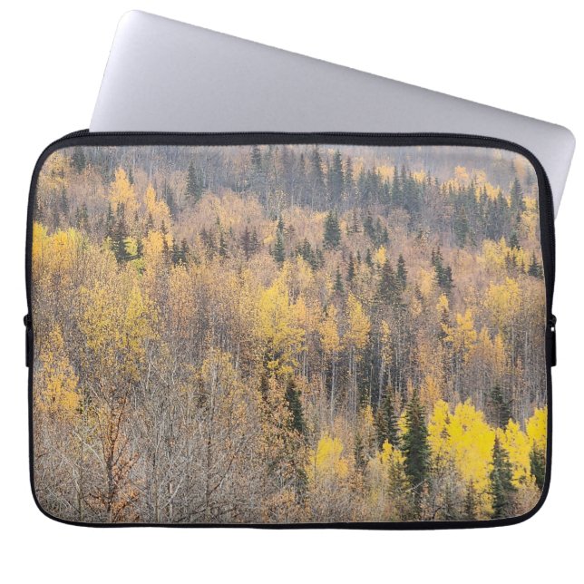 Landschaftlicher Autumn - Computercase Laptopschutzhülle (Vorderseite)