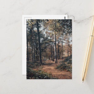 Landschaftlicher Entspannungswald Postkarte