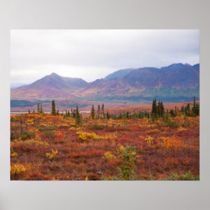 Landschaftlicher Herbst in Denali Nationalpark, Poster