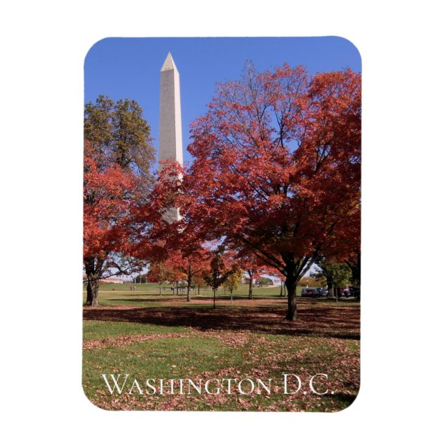 Landschaftlicher Herbst Washington D.C. Souvenir Magnet (Vertikal)