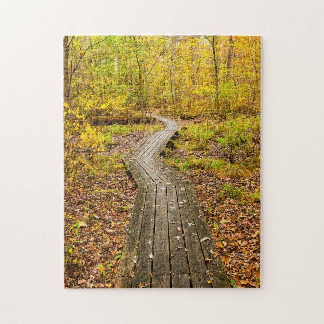 Landschaftlicher Herbstspaziergang im Wald-Natur-F (Vertikal)